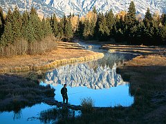 Schwabacher Landing, Grand Teton National Park, Wyoming